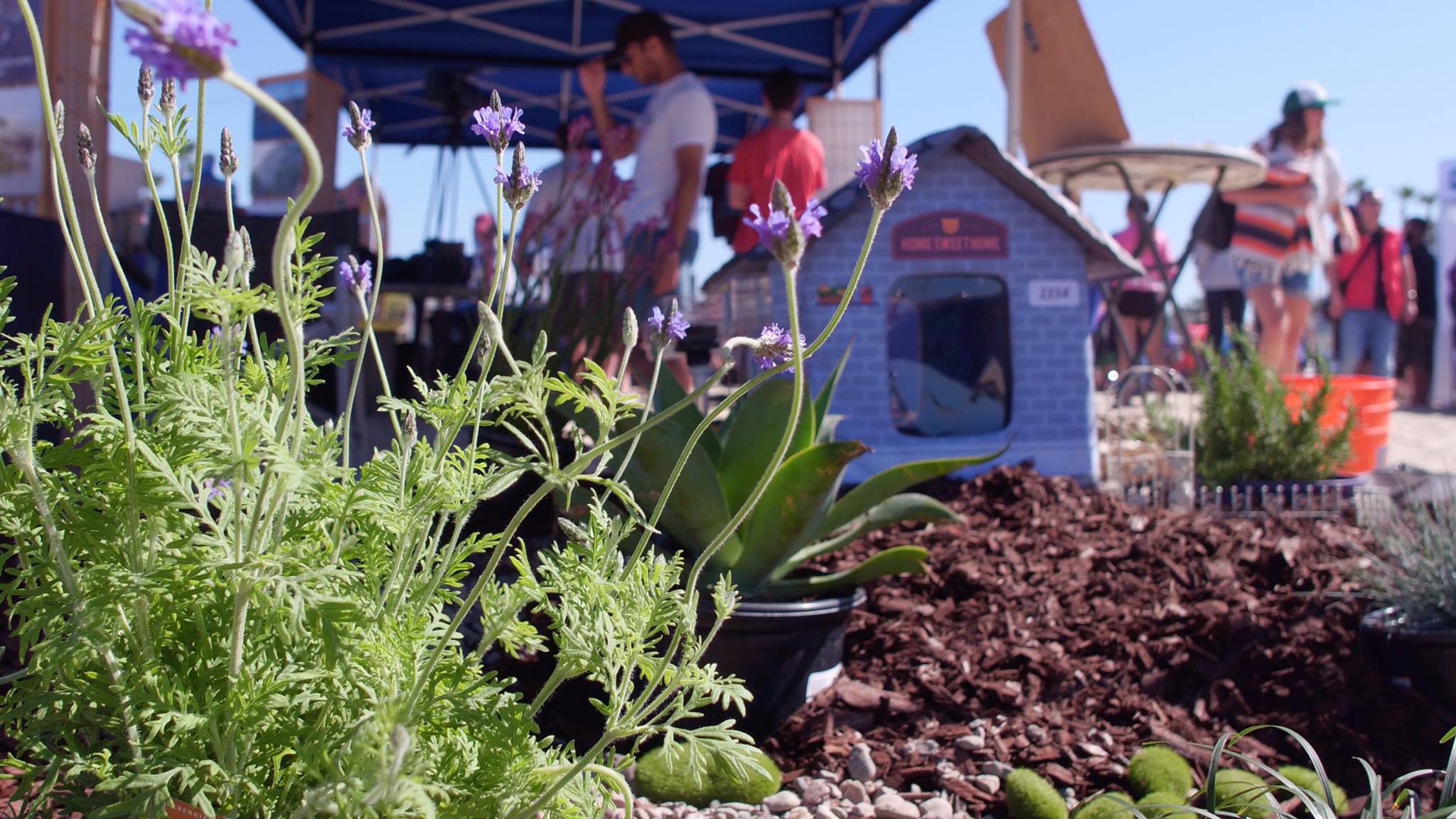 Ocean Friendly Gardens